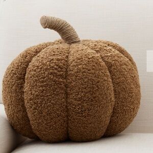 Pottery Barn Pumpkin Pillow - Tobacco, 9.5” x 14”, NWT